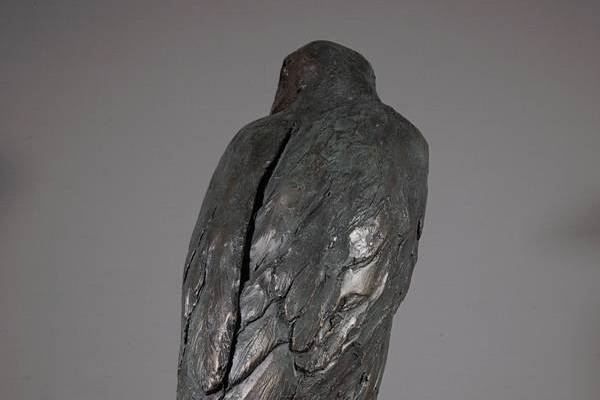 Harris Hawk Sculpture